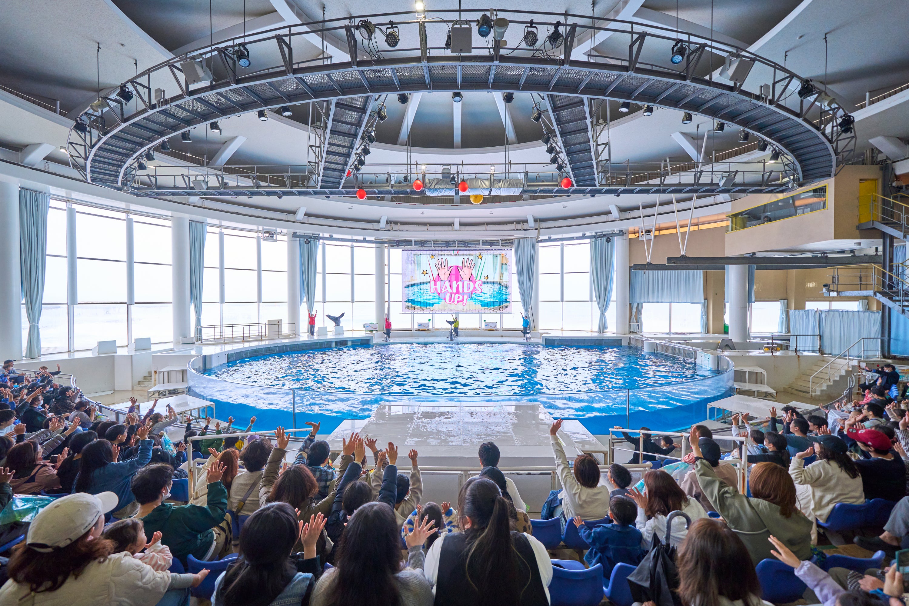 アクアワールド茨城県大洗水族館 イルカ・アシカオーシャンライブ